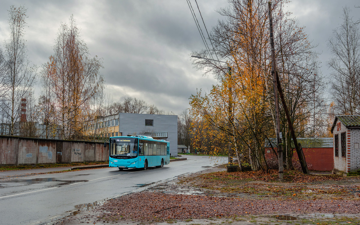 Saint Petersburg, Volgabus-5270.G2 (LNG) # 6250
