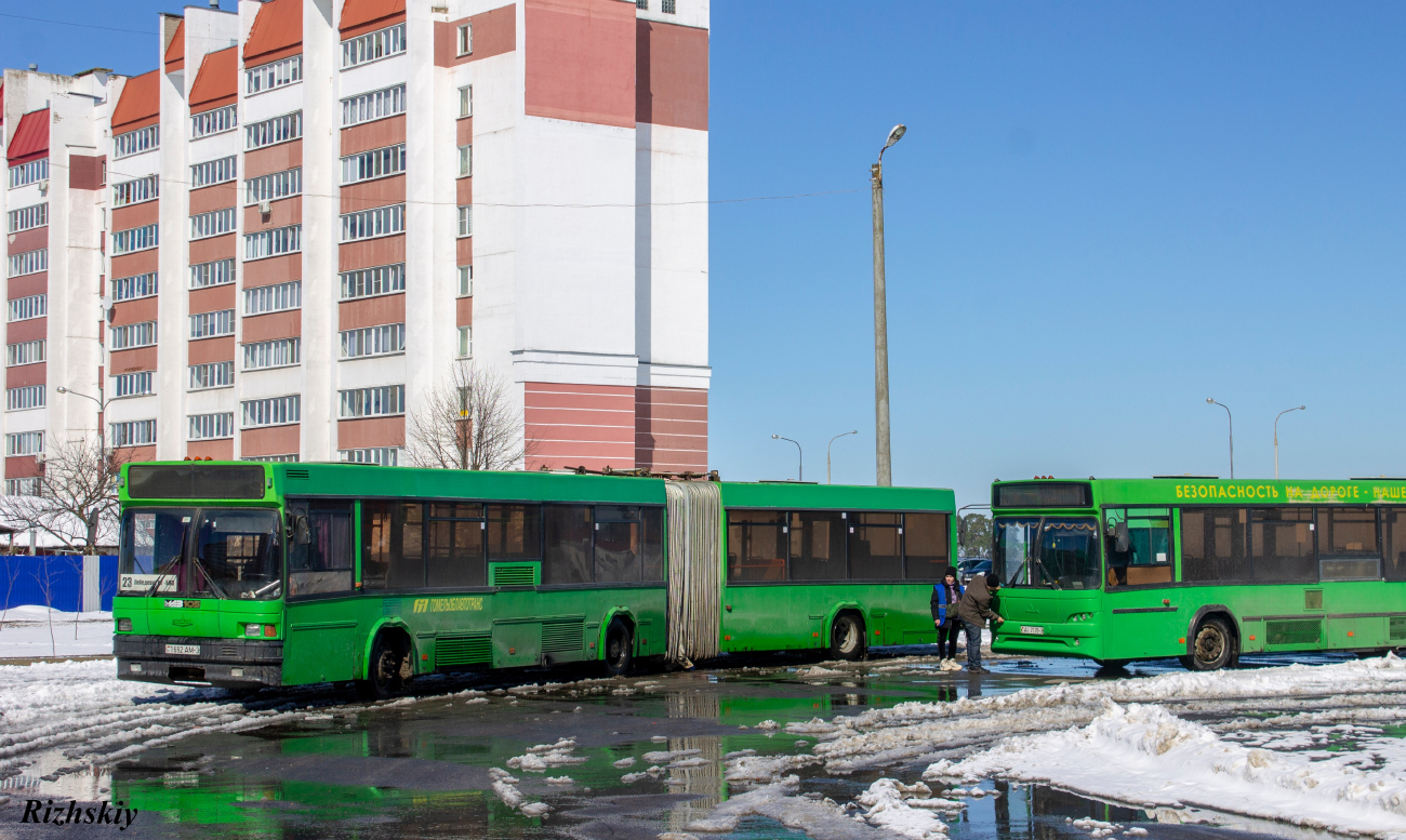 Zhlobin, MAZ-105.060 # 34762