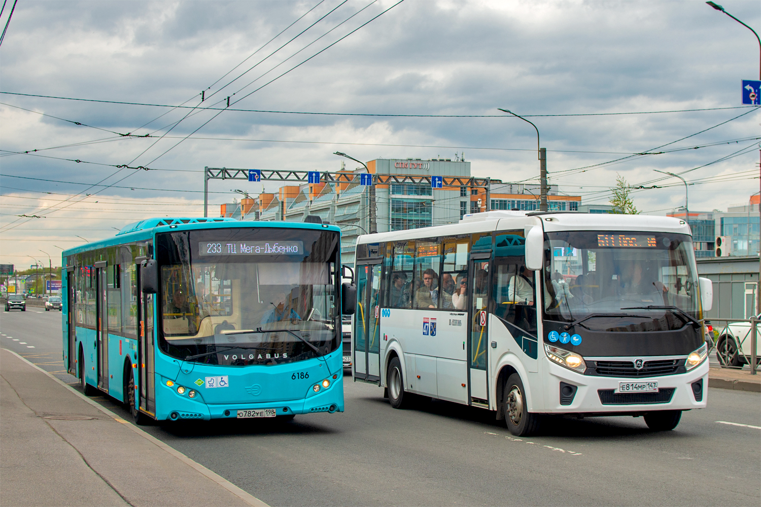 Saint Petersburg, Volgabus-5270.G2 (LNG) # 6186; Otradnoye, PAZ-320415-04 "Vector Next" # Е 814 МР 147