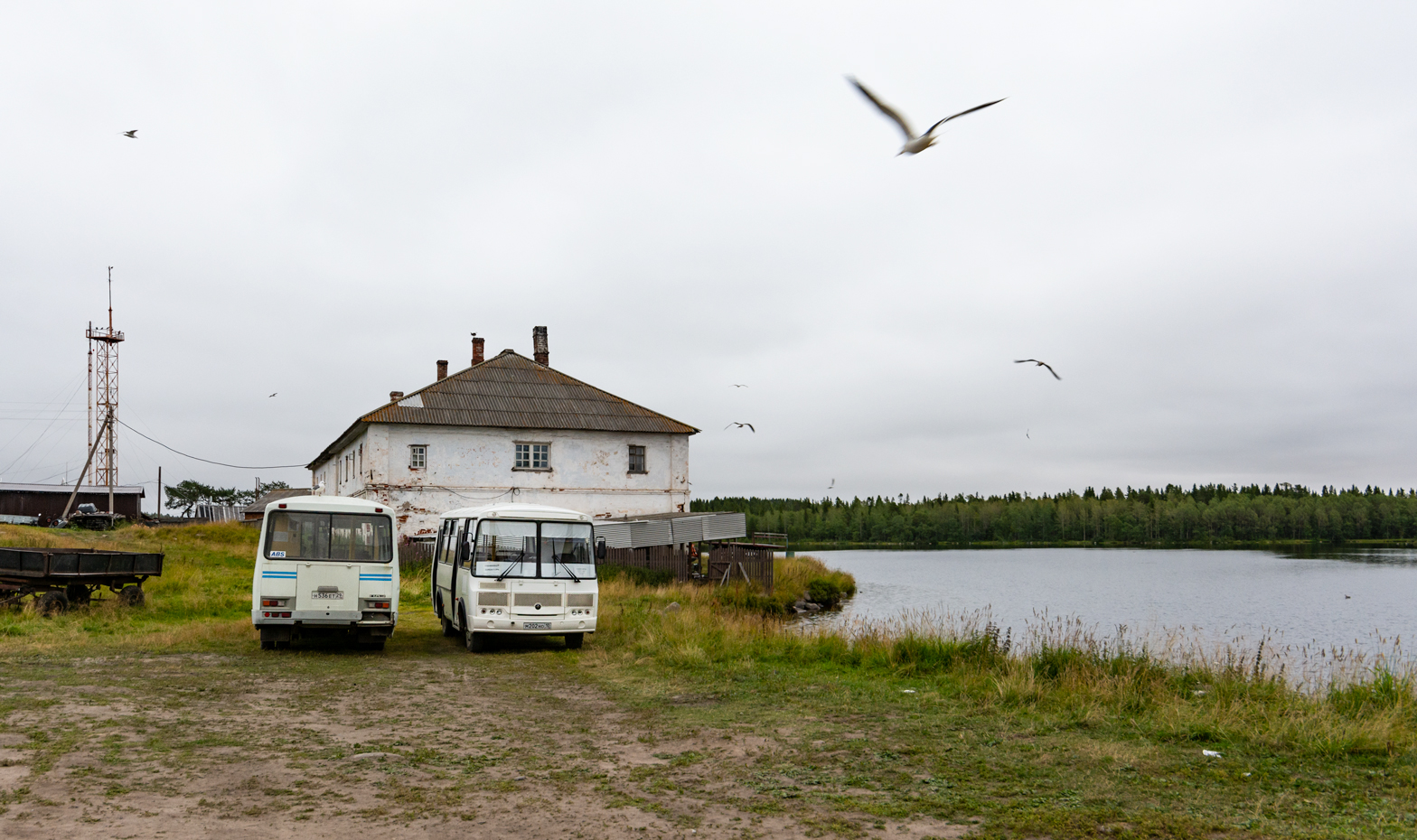 Arkhangelsk Oblast, PAZ-32053-110-07 # Н 536 ЕТ 29; Arkhangelsk Oblast, PAZ-32054 # М 202 НО 10