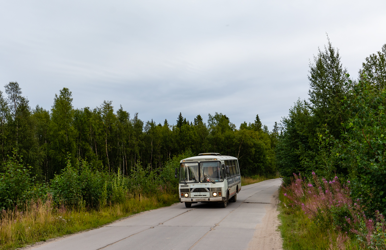 Архангельская область, ПАЗ-32053 № М 207 ХО 10