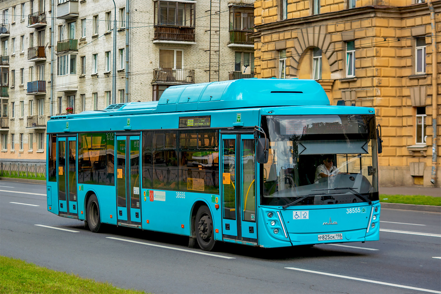 Saint Petersburg, MAZ-203.948 # 38555