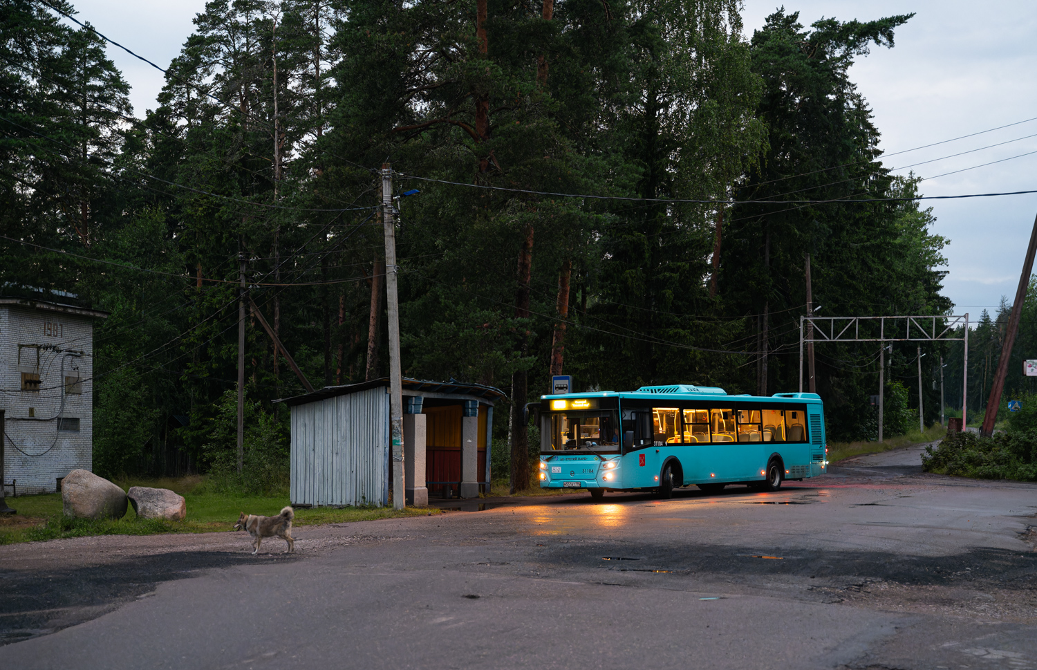 Saint Petersburg, LiAZ-5292.67 (LNG) # 31104