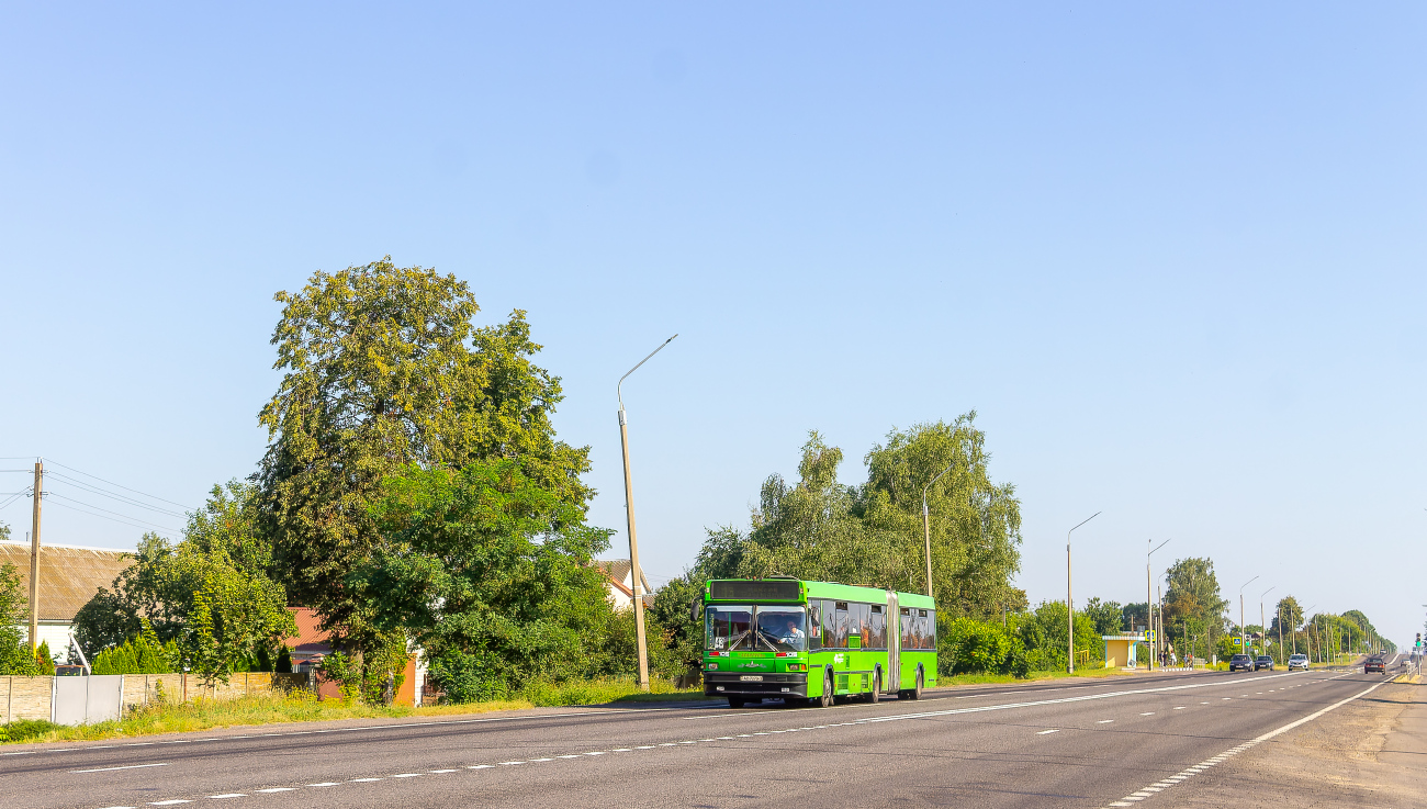 Gomiel, MAZ-105.065 # 25534