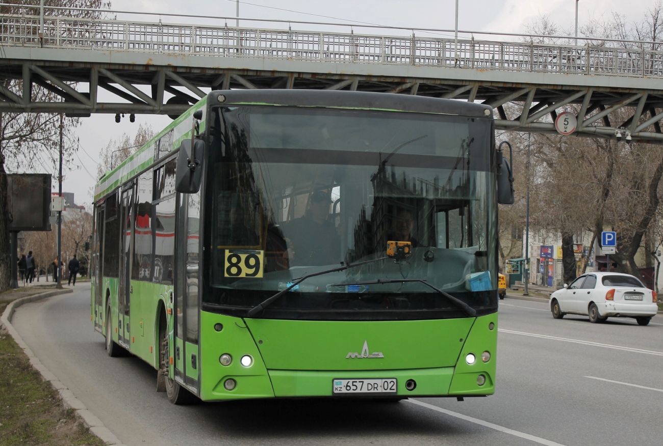 Almaty, MAZ-203.069 # 5007