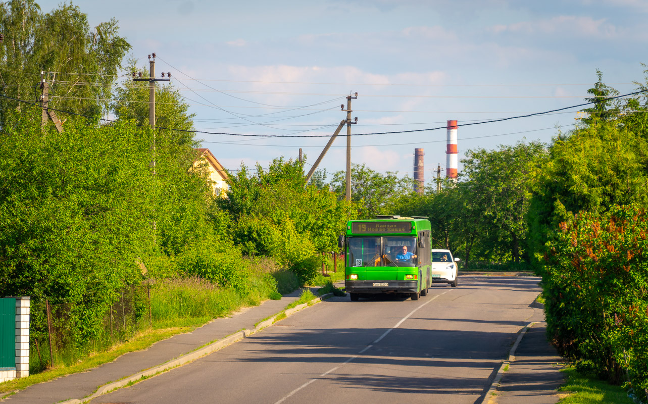 Gomiel, MAZ-107.066 # 11703