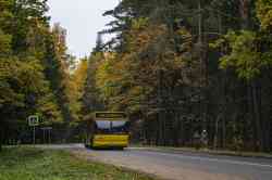 517 КБ