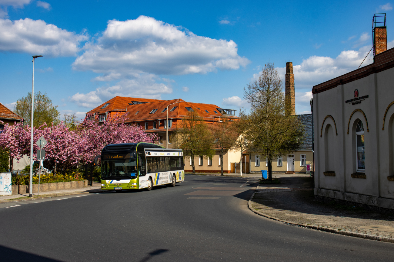 Teltow-Fläming, MAN A37 Lion's City Hybrid NL253 # TF-VG 240