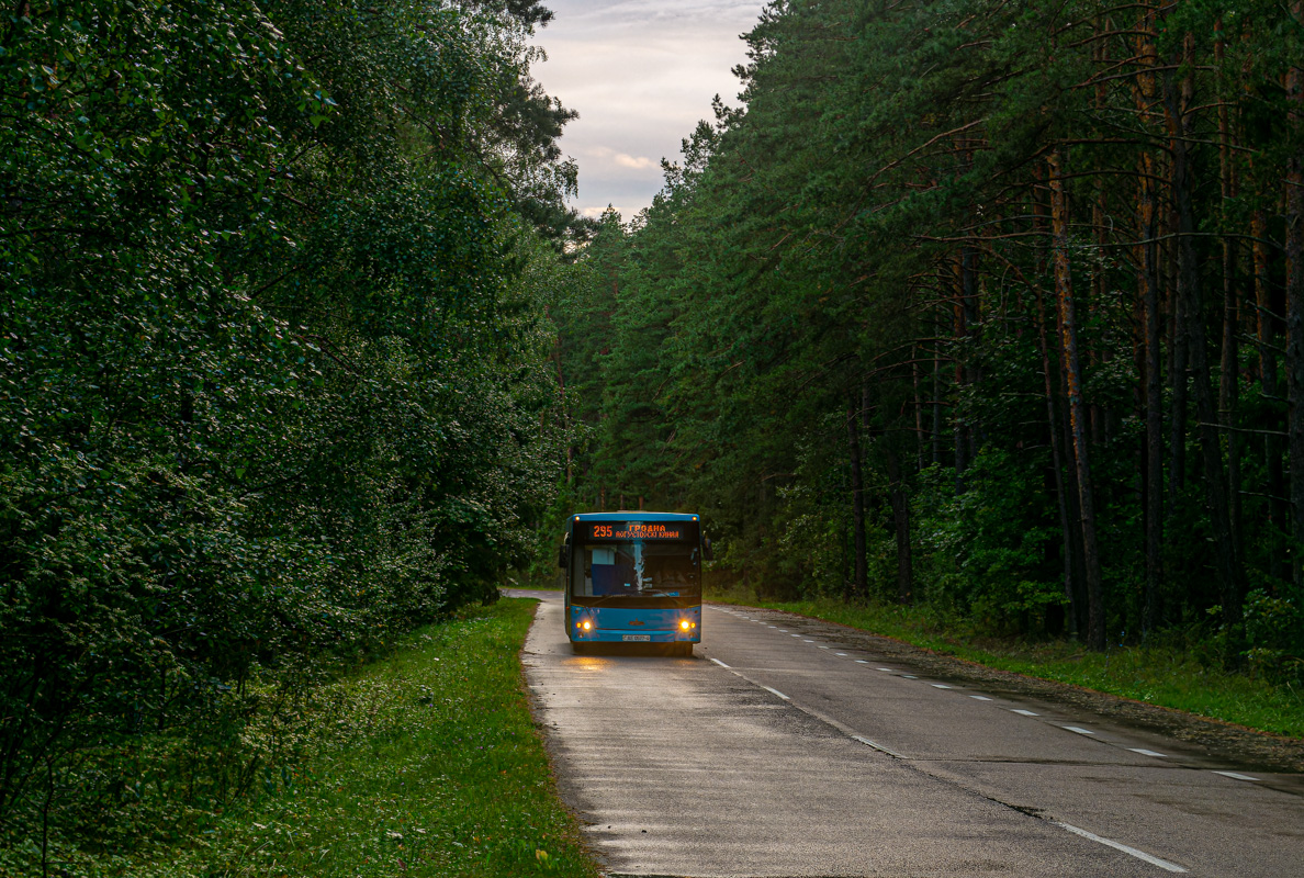 Grodno, MAZ-206.060 # 41378