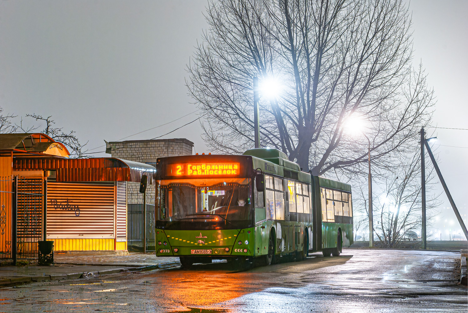 Zhlobin, MAZ-215.069 # 20419
