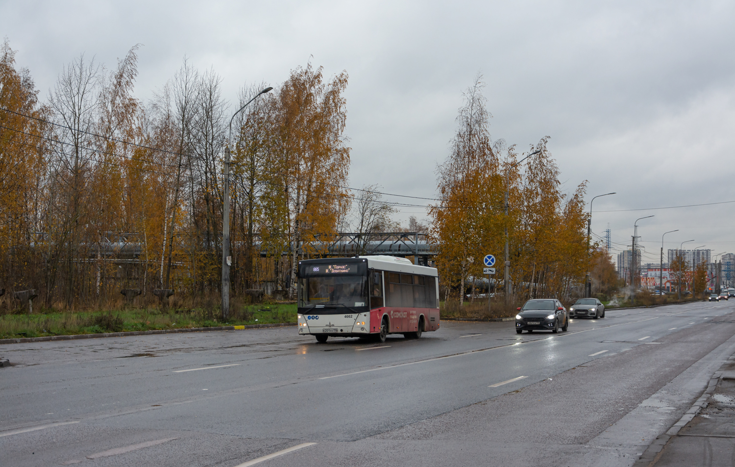 Saint Petersburg, MAZ-206.086 # 4662
