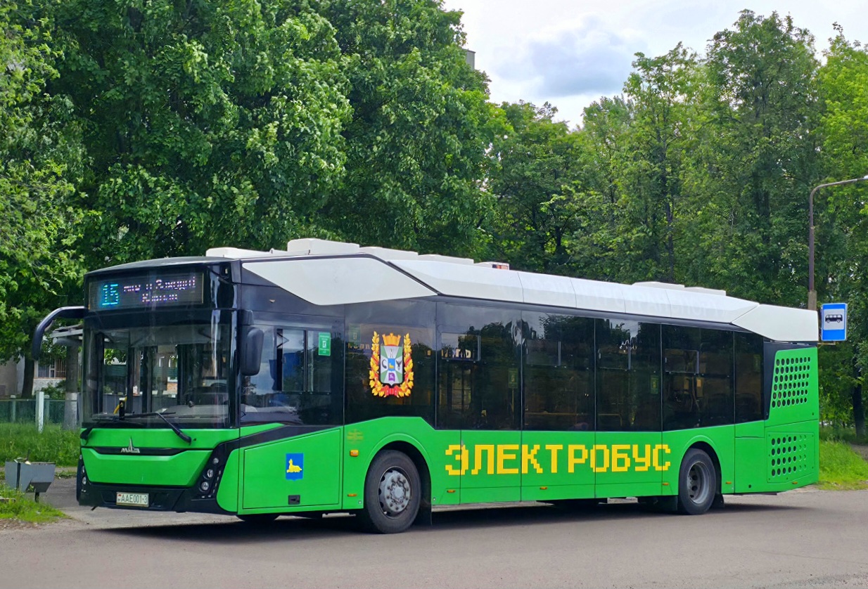 Gomiel, MAZ-303.E10 # 26451