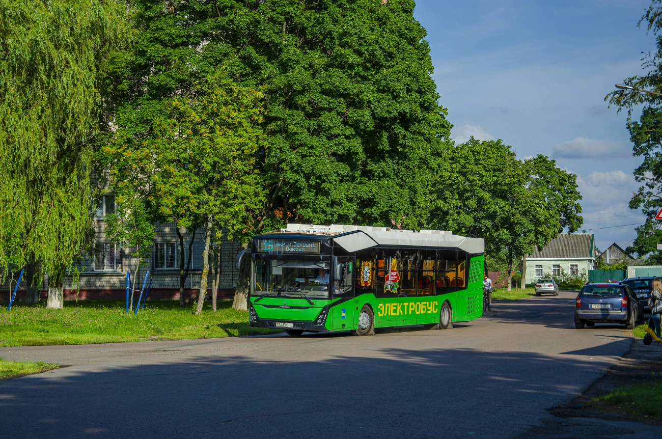 Gomiel, MAZ-303.E10 # 26451
