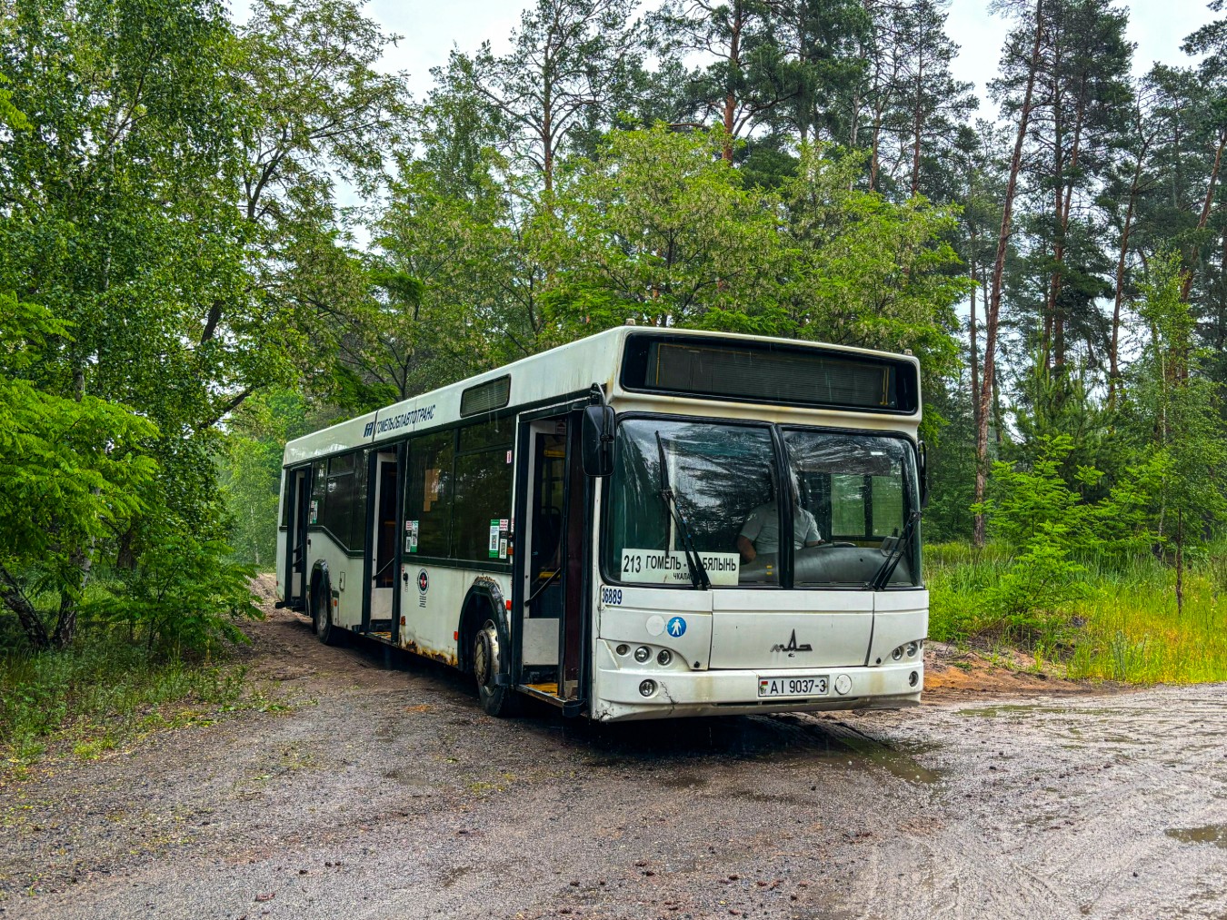 Гомель, МАЗ-103.462 № 036889