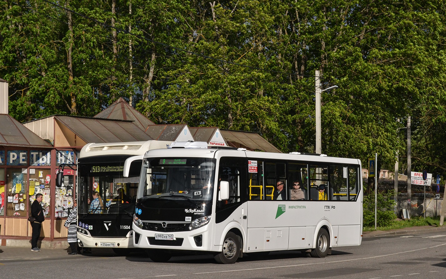 Leningrad Oblast, Volgabus-4298.G4 (CNG) # 11504; Gatchina, PAZ-320415-04 "Vector Next" # 101