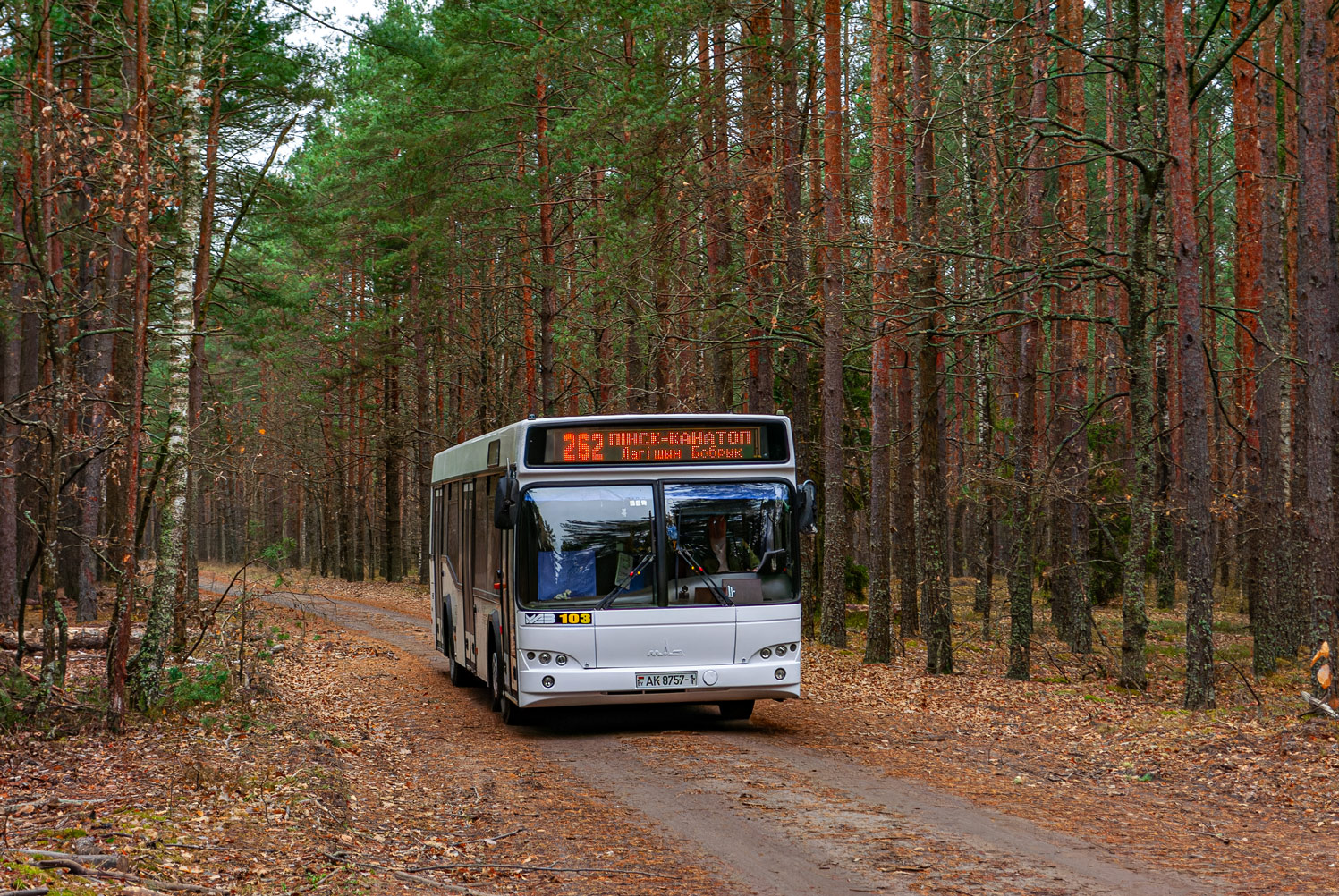 Pinsk, MAZ-103.485 # 25143