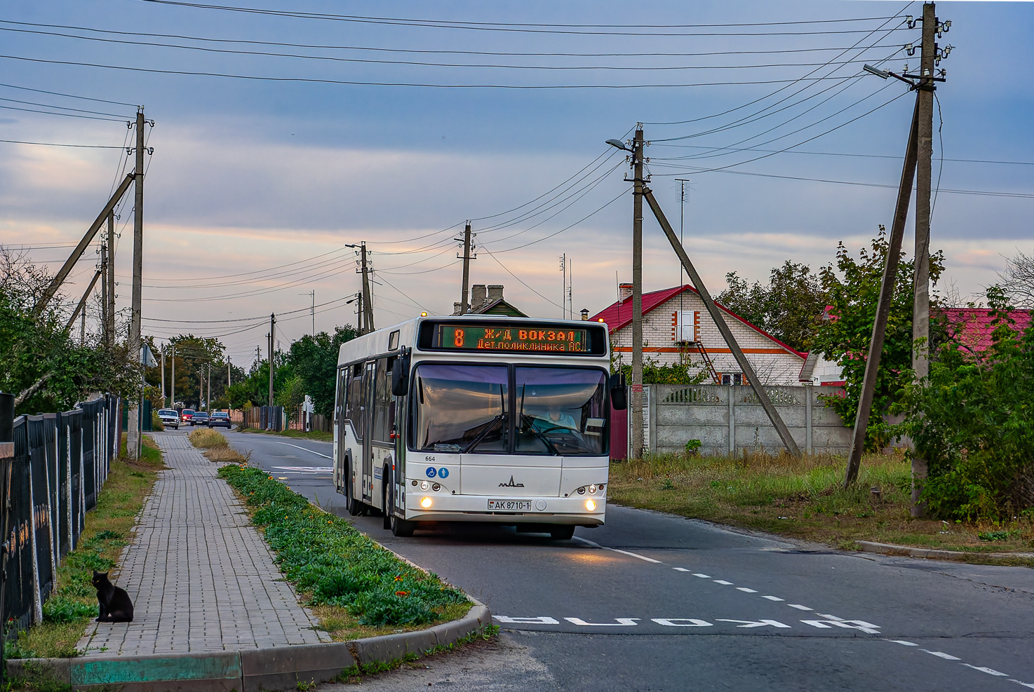 Luniniec, MAZ-103.485 # 0664