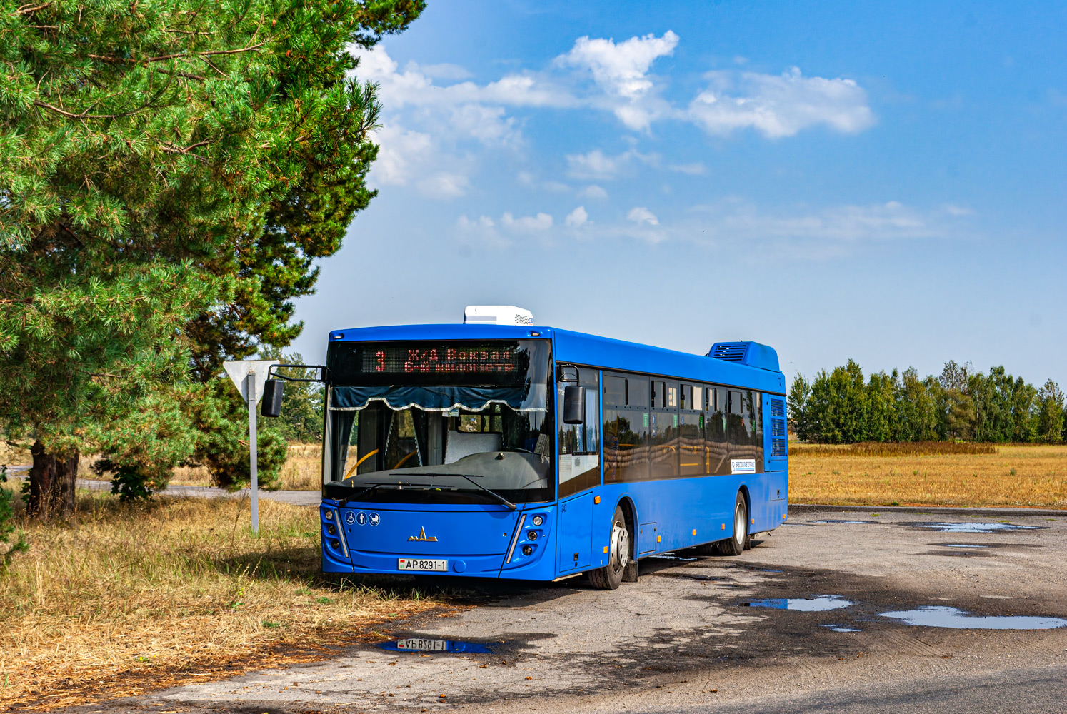 Luniniec, MAZ-203.047 # 0243