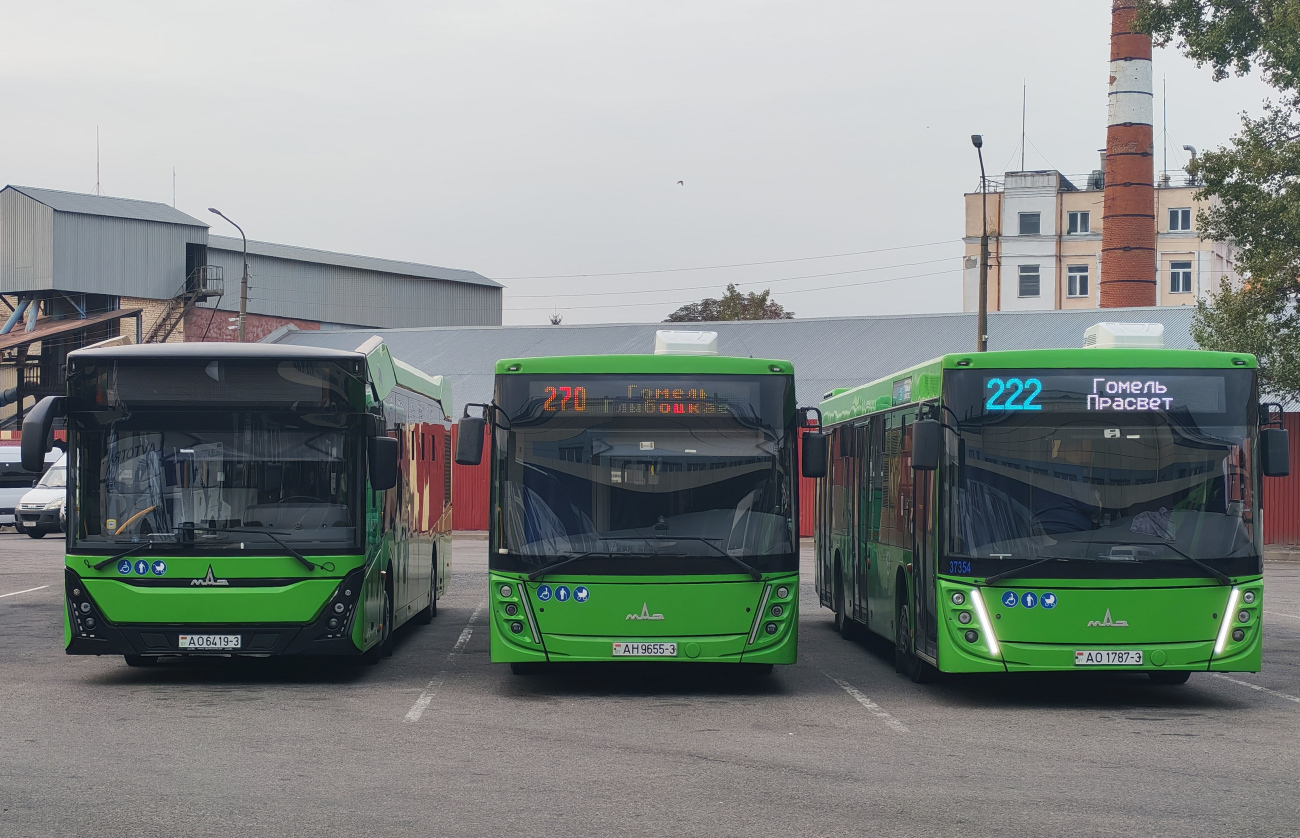 Gomiel, MAZ-303.047 # АО 6419-3; Gomiel, MAZ-203.047 # 016284; Gomiel, MAZ-203.047 # 037354
