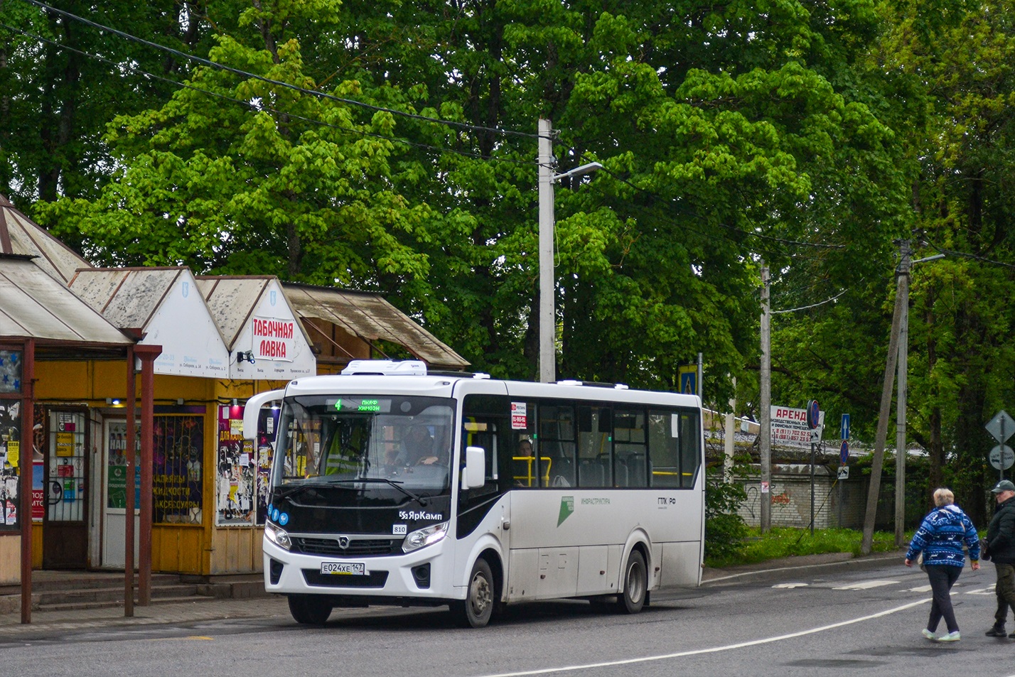 Gatchina, PAZ-320415-04 "Vector Next" # 810