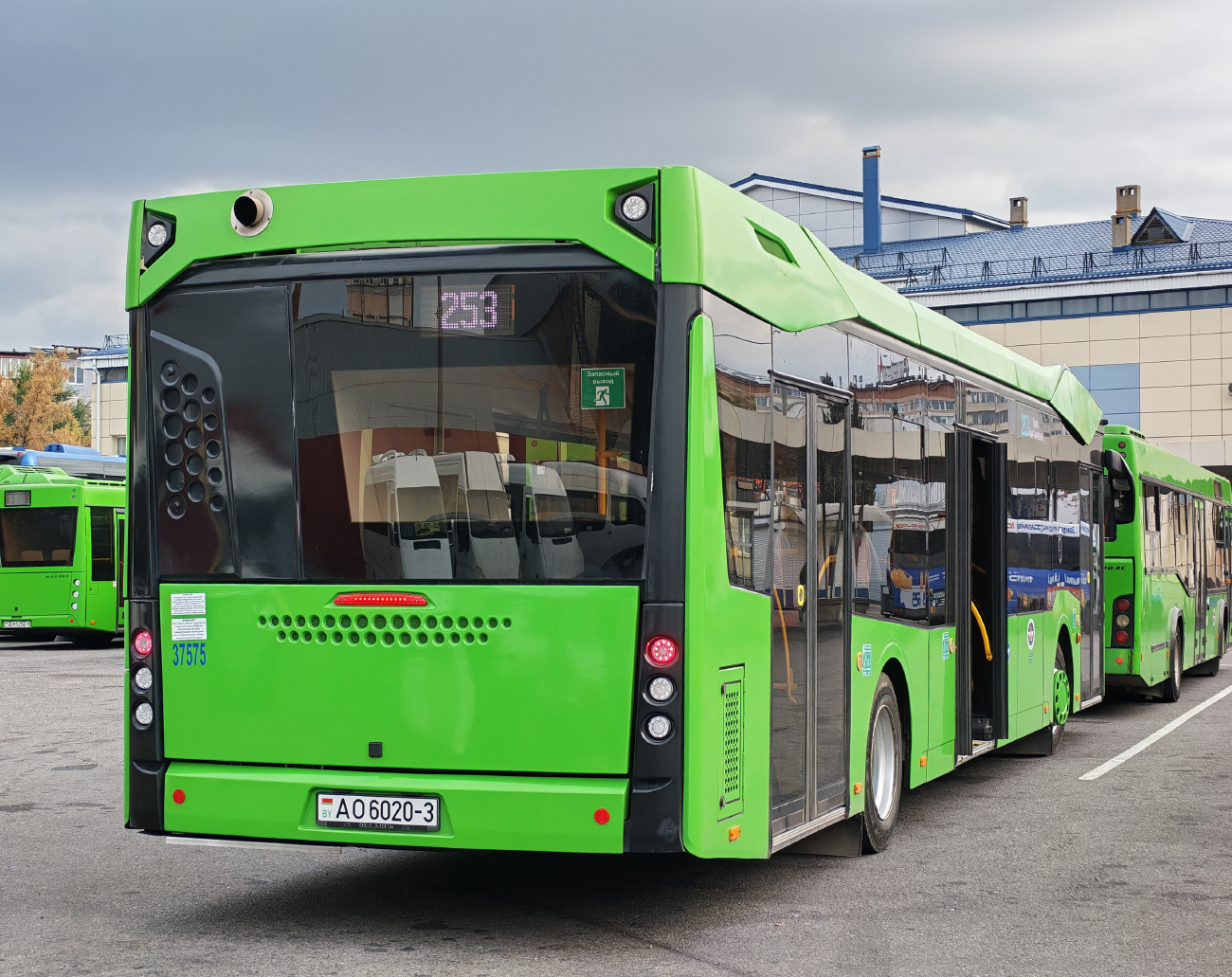 Gomiel, MAZ-303.047 # 37575