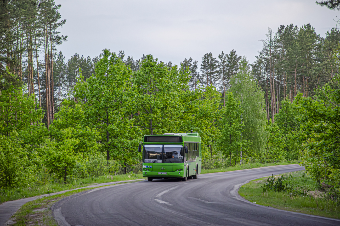 Gomiel, МАЗ-103.586 # 037133