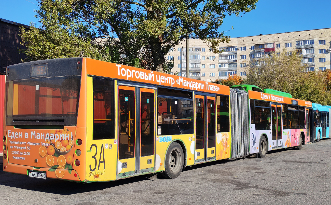 Gomiel, MAZ-215.169 # 036919