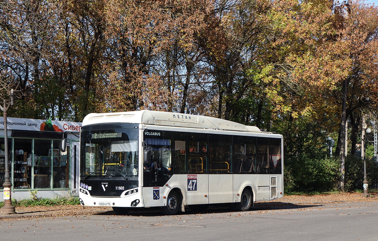 Leningrad Oblast, Volgabus-4298.G4 (CNG) # 11502