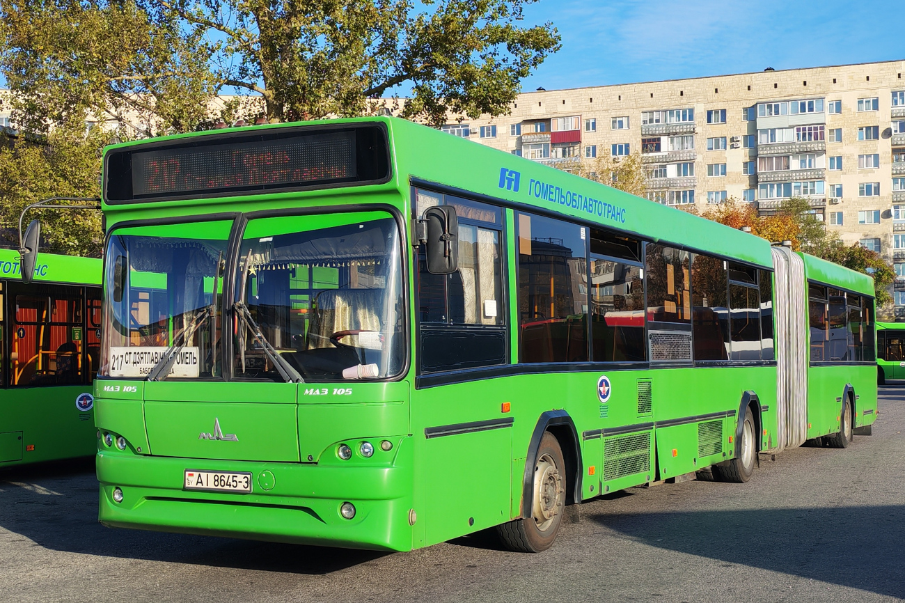 Гомель, МАЗ-105.465 № 036846