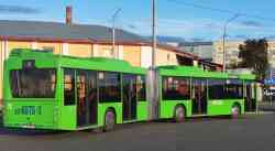 Gomiel, MAZ-216.047 # 13330